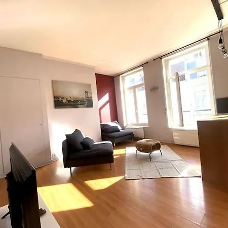 La Belle Treille By Concierge Lille