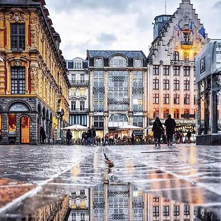 La Belle Treille By Concierge Lille