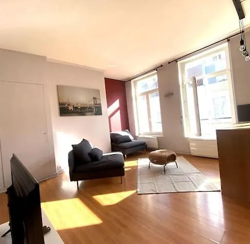 La Belle Treille By Concierge Lille