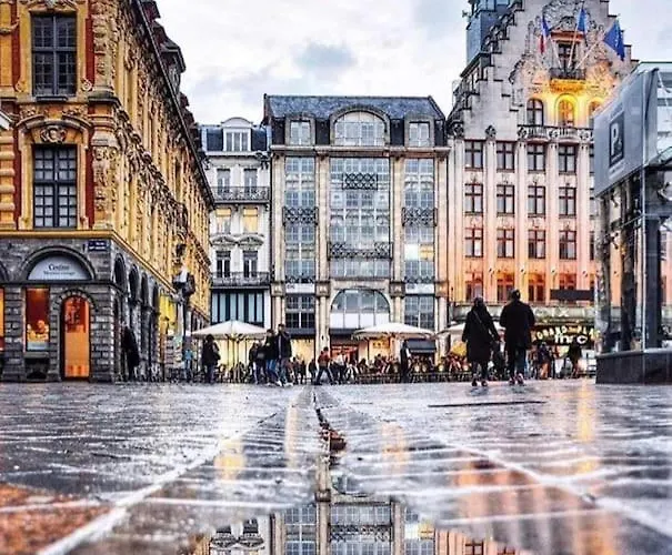 La Belle Treille By Concierge Lille